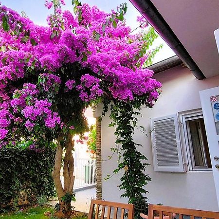 Holiday Home Zora - Family Vacation House Near Protected Area Of The Nature Park Kamenjak, With Green Yard, Wifi, Air-Con Premantura Esterno foto