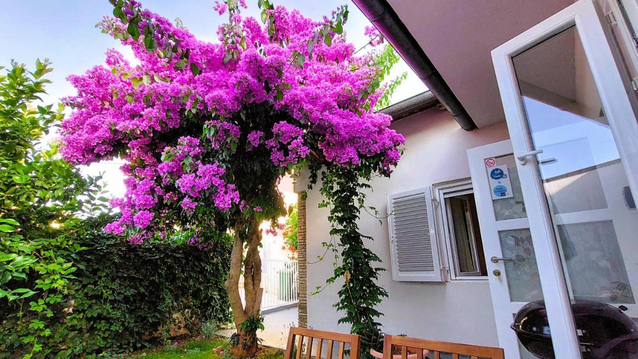 Holiday Home Zora - Family Vacation House Near Protected Area Of The Nature Park Kamenjak, With Green Yard, Wifi, Air-Con Premantura Esterno foto