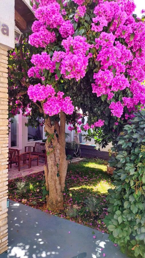 Holiday Home Zora - Family Vacation House Near Protected Area Of The Nature Park Kamenjak, With Green Yard, Wifi, Air-Con Premantura Esterno foto